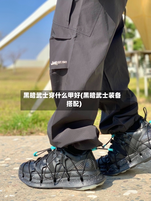 黑暗武士穿什么甲好(黑暗武士装备搭配)