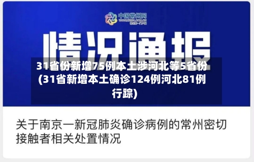 31省份新增75例本土涉河北等5省份(31省新增本土确诊124例河北81例行踪)-第2张图片