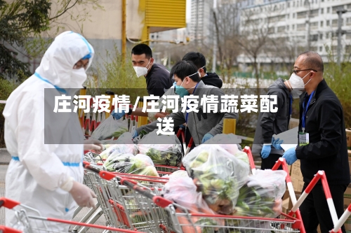 庄河疫情/庄河疫情蔬菜配送