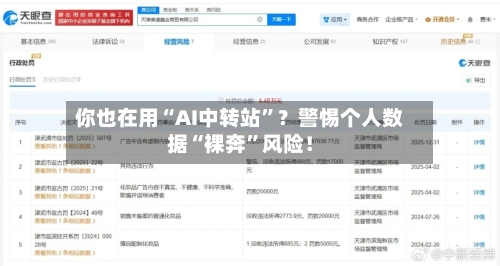 你也在用“AI中转站”？警惕个人数据“裸奔	”风险！-第3张图片