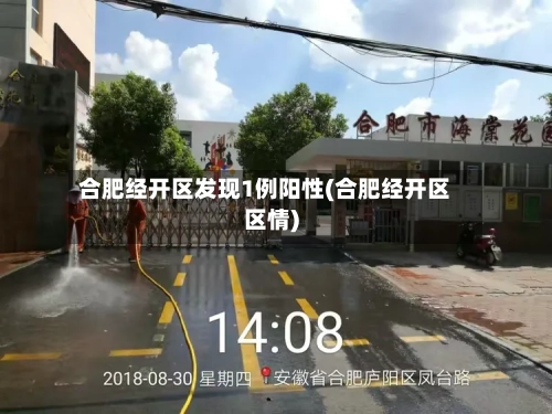 合肥经开区发现1例阳性(合肥经开区区情)-第2张图片
