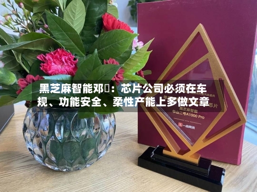 黑芝麻智能邓堃：芯片公司必须在车规、功能安全、柔性产能上多做文章-第2张图片