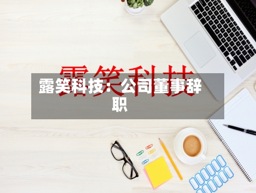 露笑科技：公司董事辞职