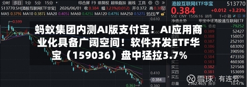 蚂蚁集团内测AI版支付宝!AI应用商业化具备广阔空间!软件开发ETF华宝(159036)盘中猛拉3.7%-第3张图片